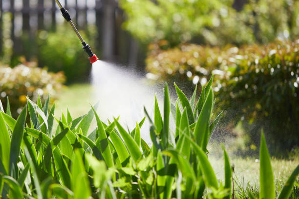 24/7 Emergency Wasp Removal experts in North Weeki Wachee, FL