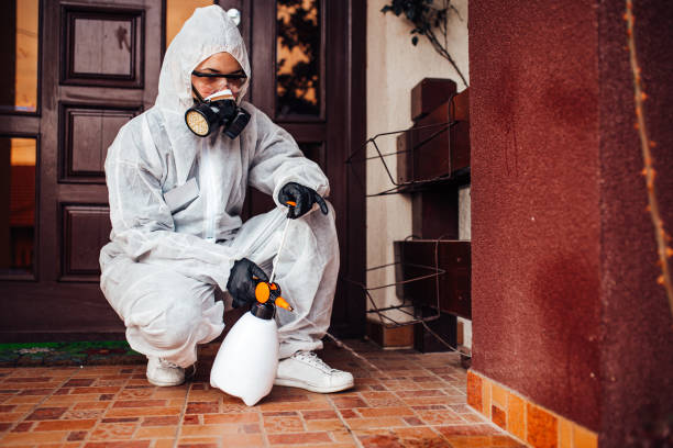 Reliable Wasp Removal contractor in North Weeki Wachee, FL by Show Me Pest Control